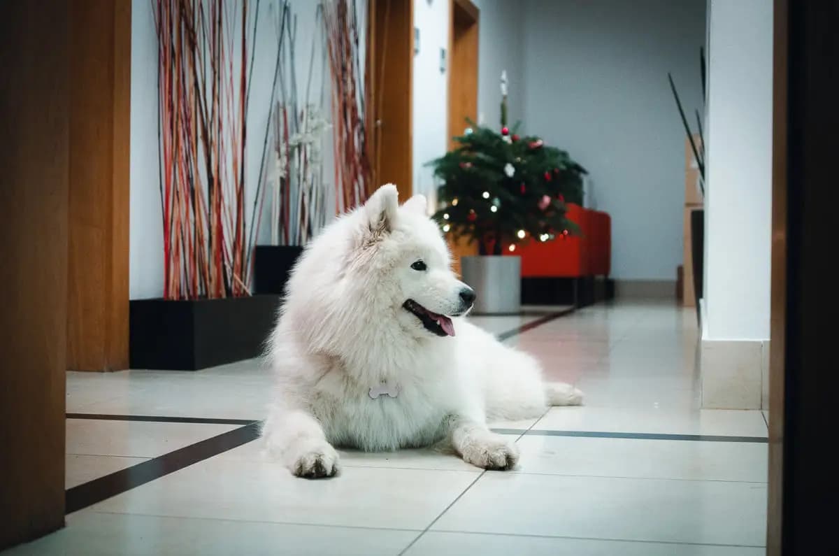 Život v Media Factory